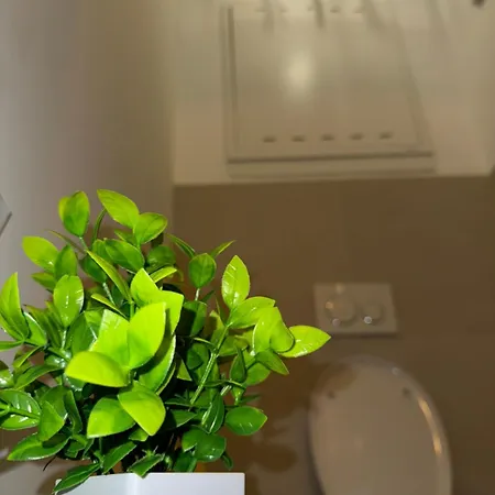 Luxus Apartamento *